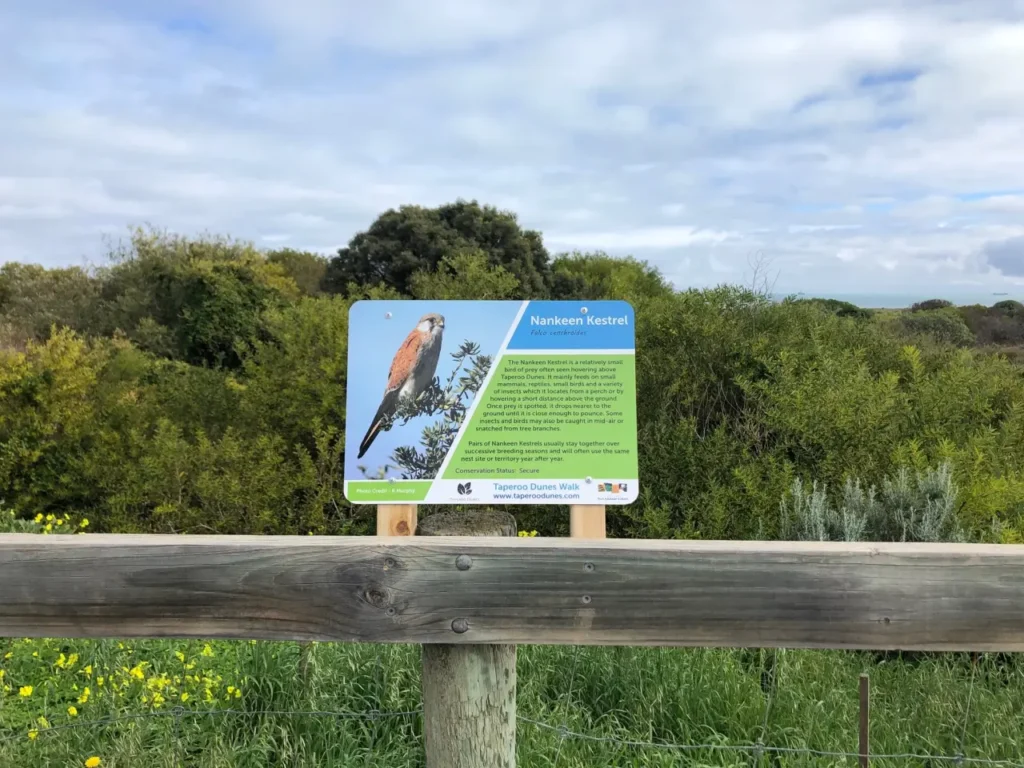 Taperoo dunes walk