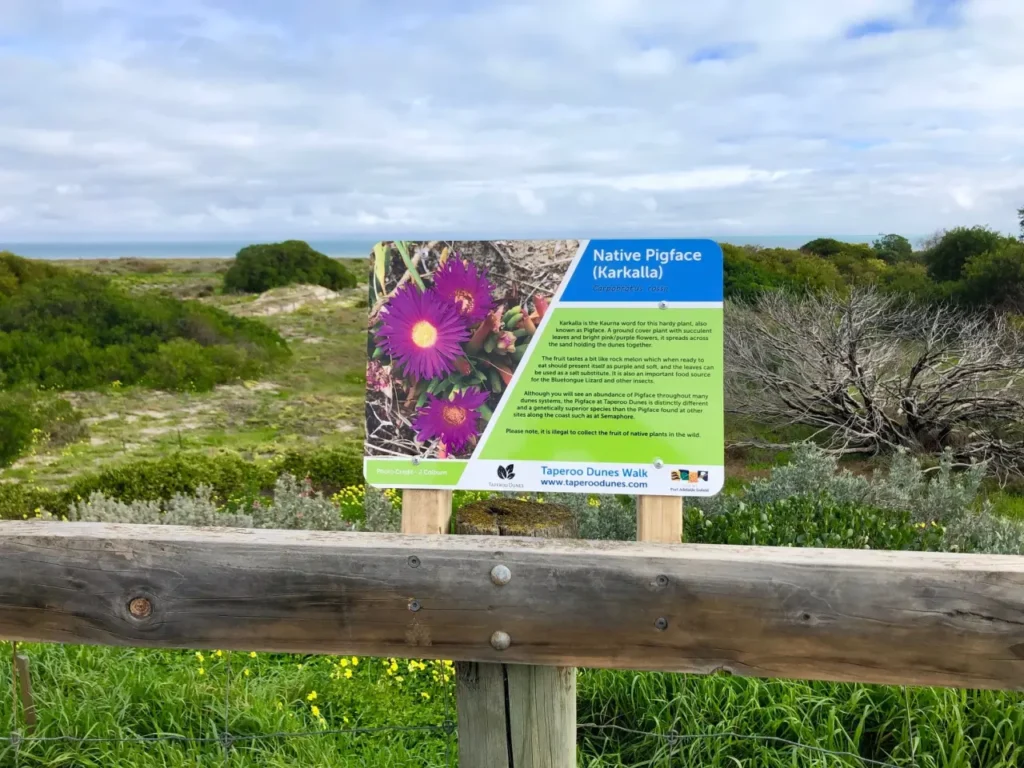 Taperoo dunes walk