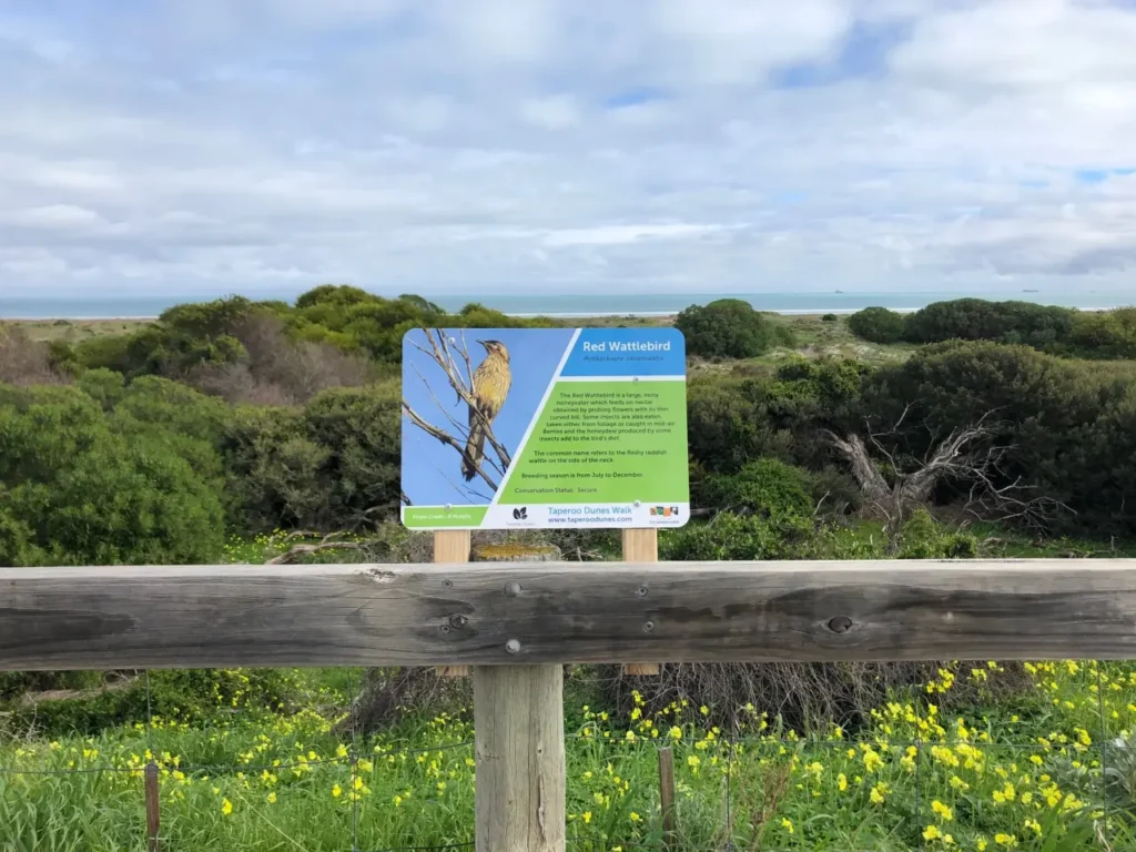 Taperoo dunes walk