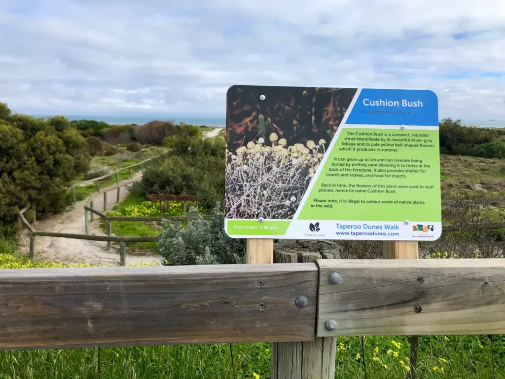 Taperoo dunes walk