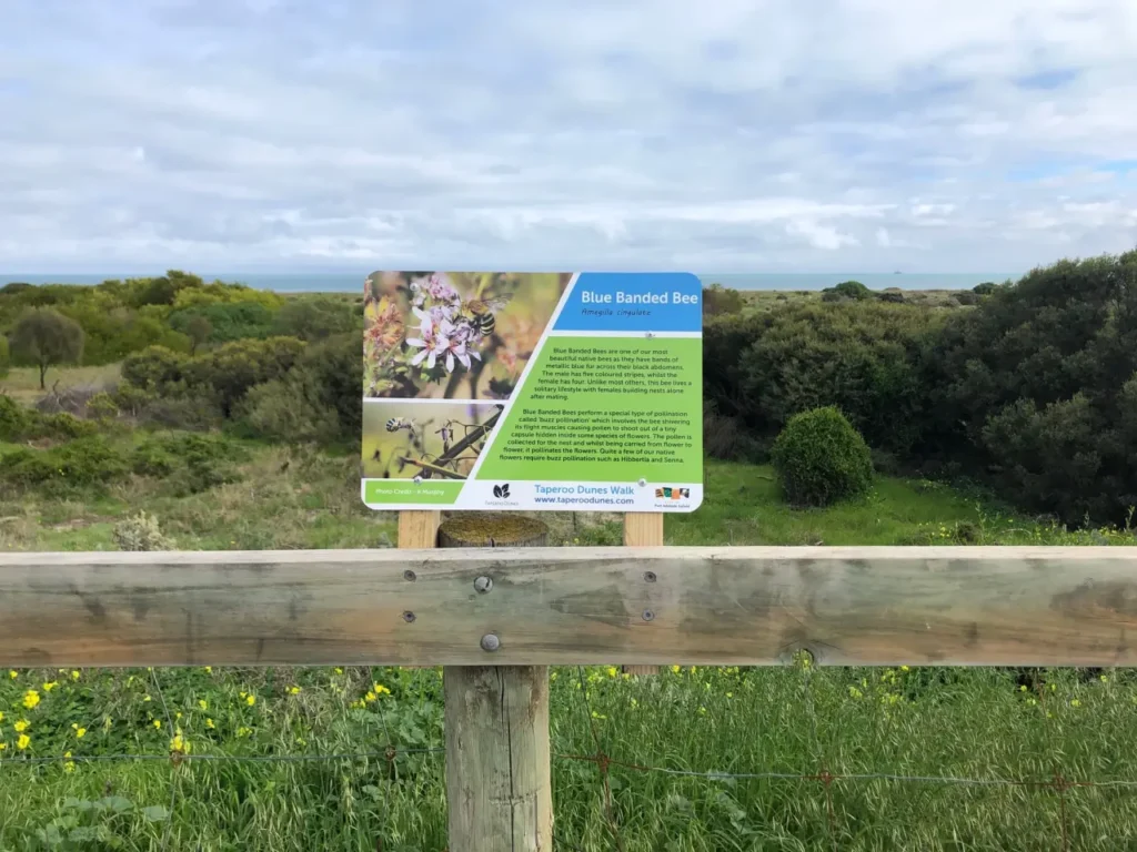 Taperoo dunes walk