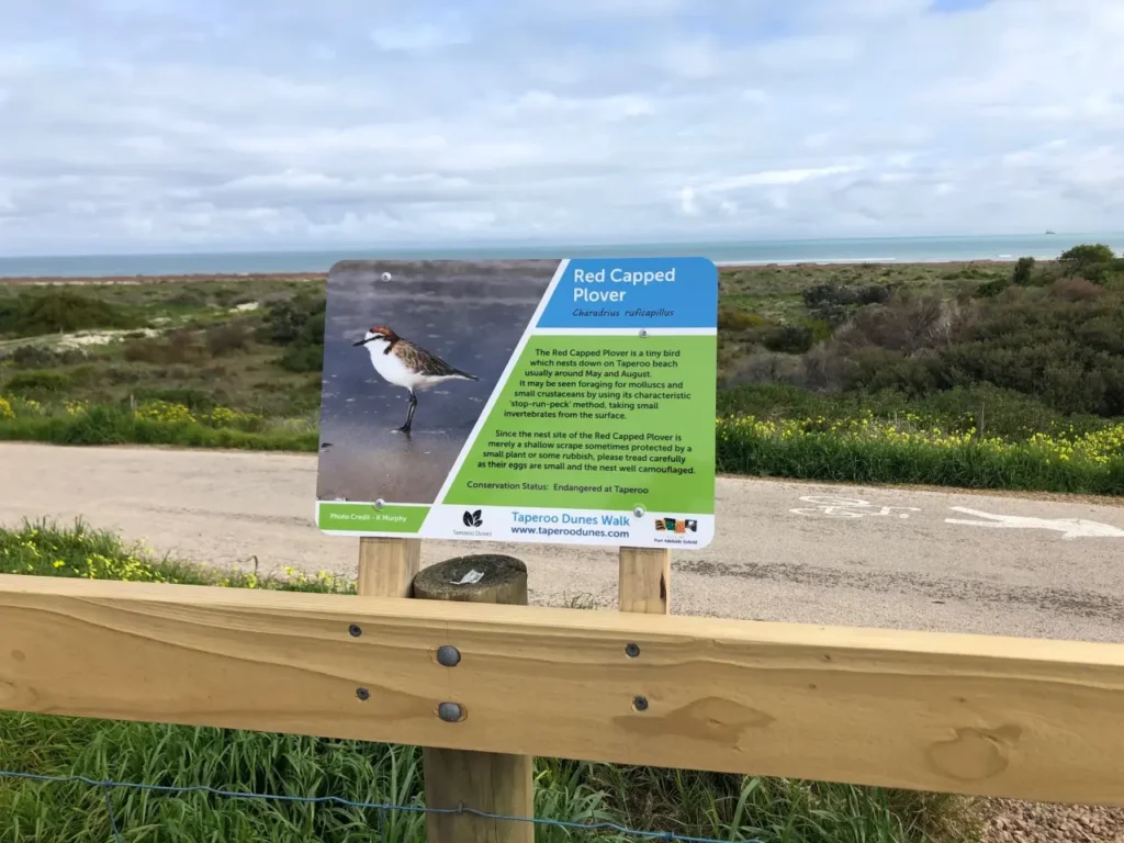 Taperoo dunes walk